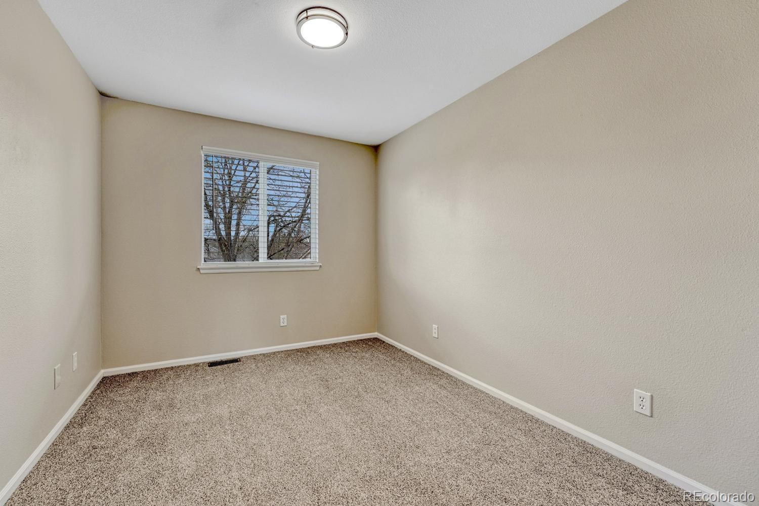 MLS Image #19 for 1059  riddlewood lane,highlands ranch, Colorado