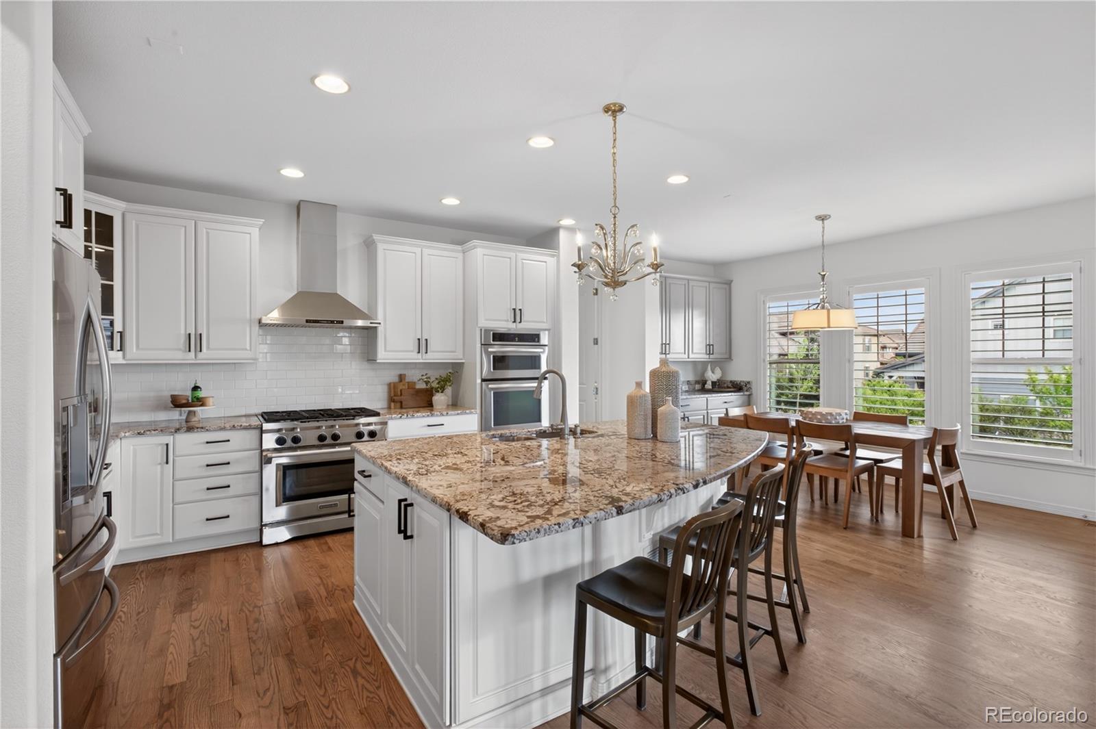 MLS Image #10 for 10663  sundial rim road,highlands ranch, Colorado