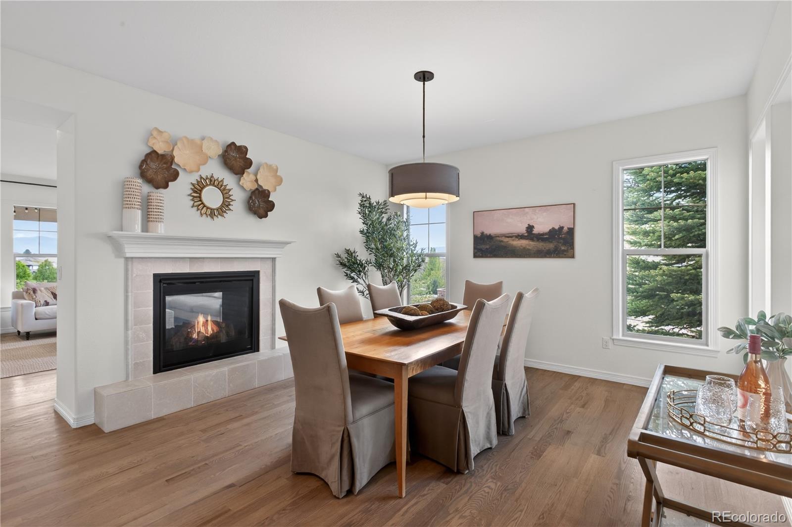 MLS Image #14 for 10663  sundial rim road,highlands ranch, Colorado