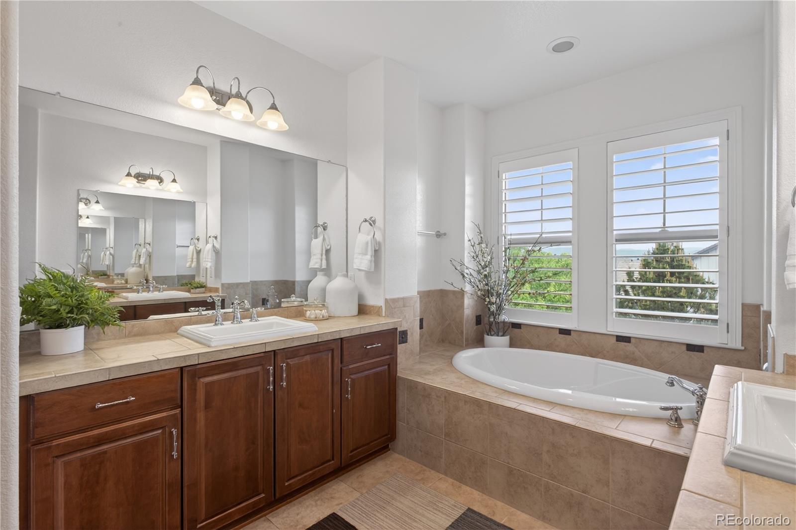 MLS Image #25 for 10663  sundial rim road,highlands ranch, Colorado