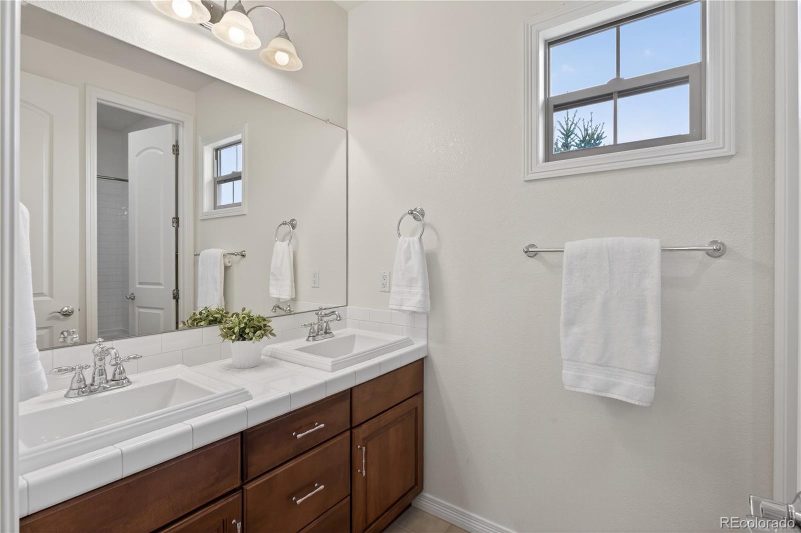 MLS Image #28 for 10663  sundial rim road,highlands ranch, Colorado
