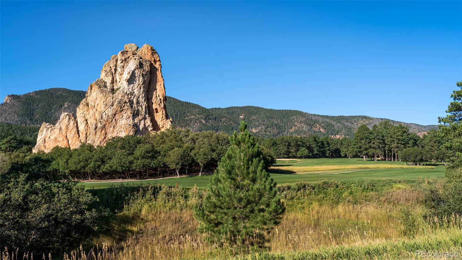 MLS Image #29 for 4336  mohawk drive,larkspur, Colorado