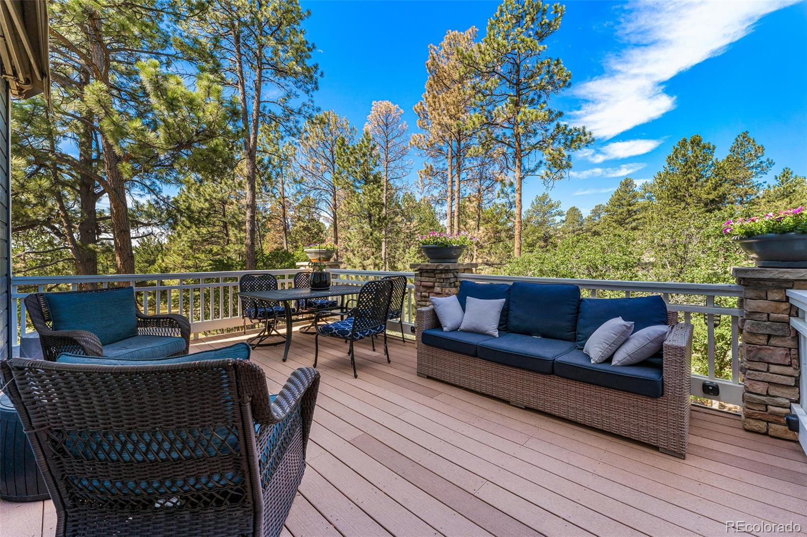 MLS Image #42 for 5439  fox sparrow road,parker, Colorado