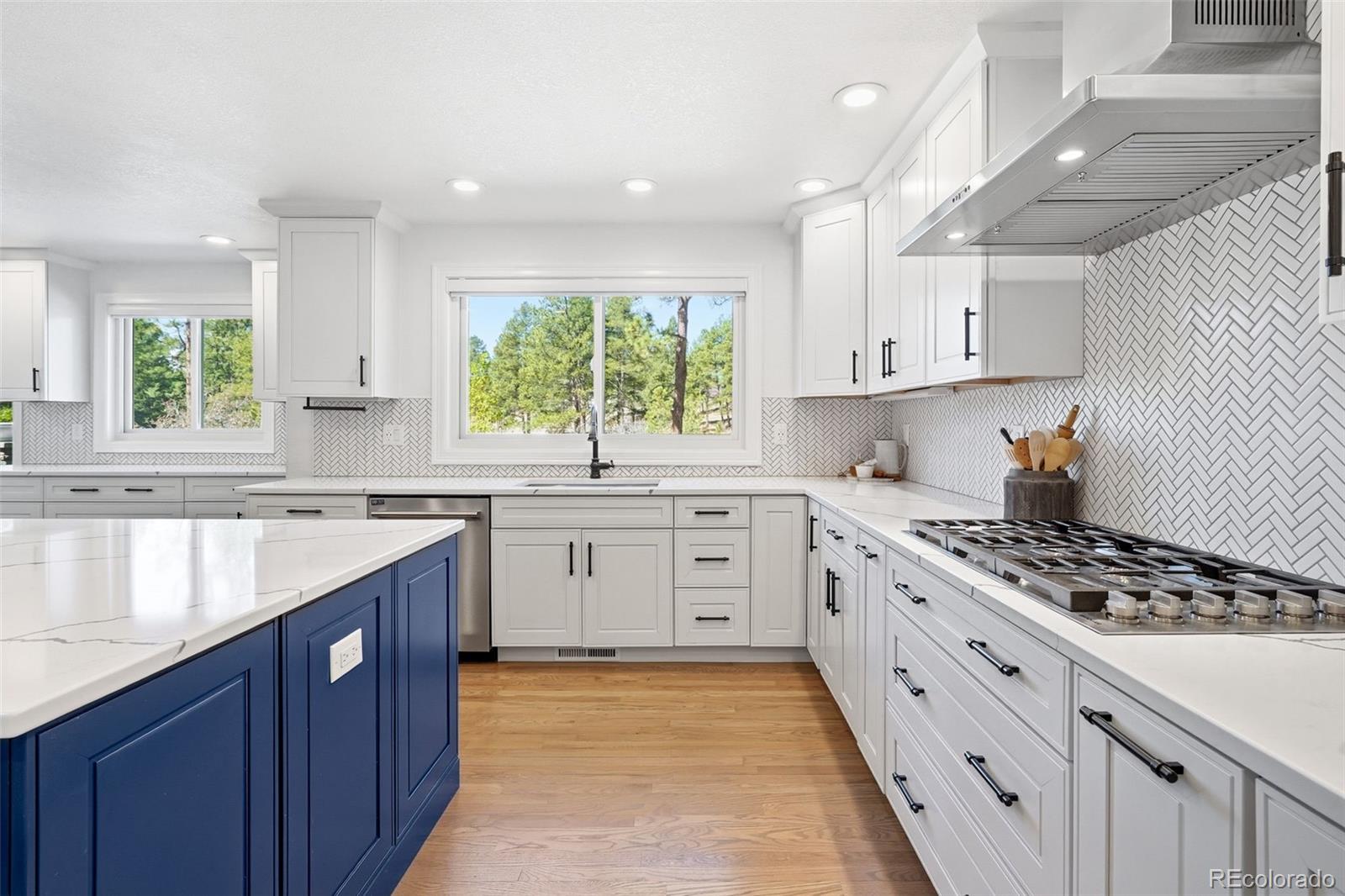 MLS Image #8 for 5439  fox sparrow road,parker, Colorado