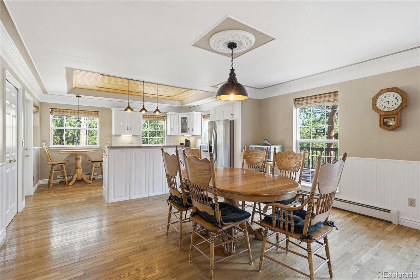 MLS Image #10 for 410  spring drive,pine, Colorado