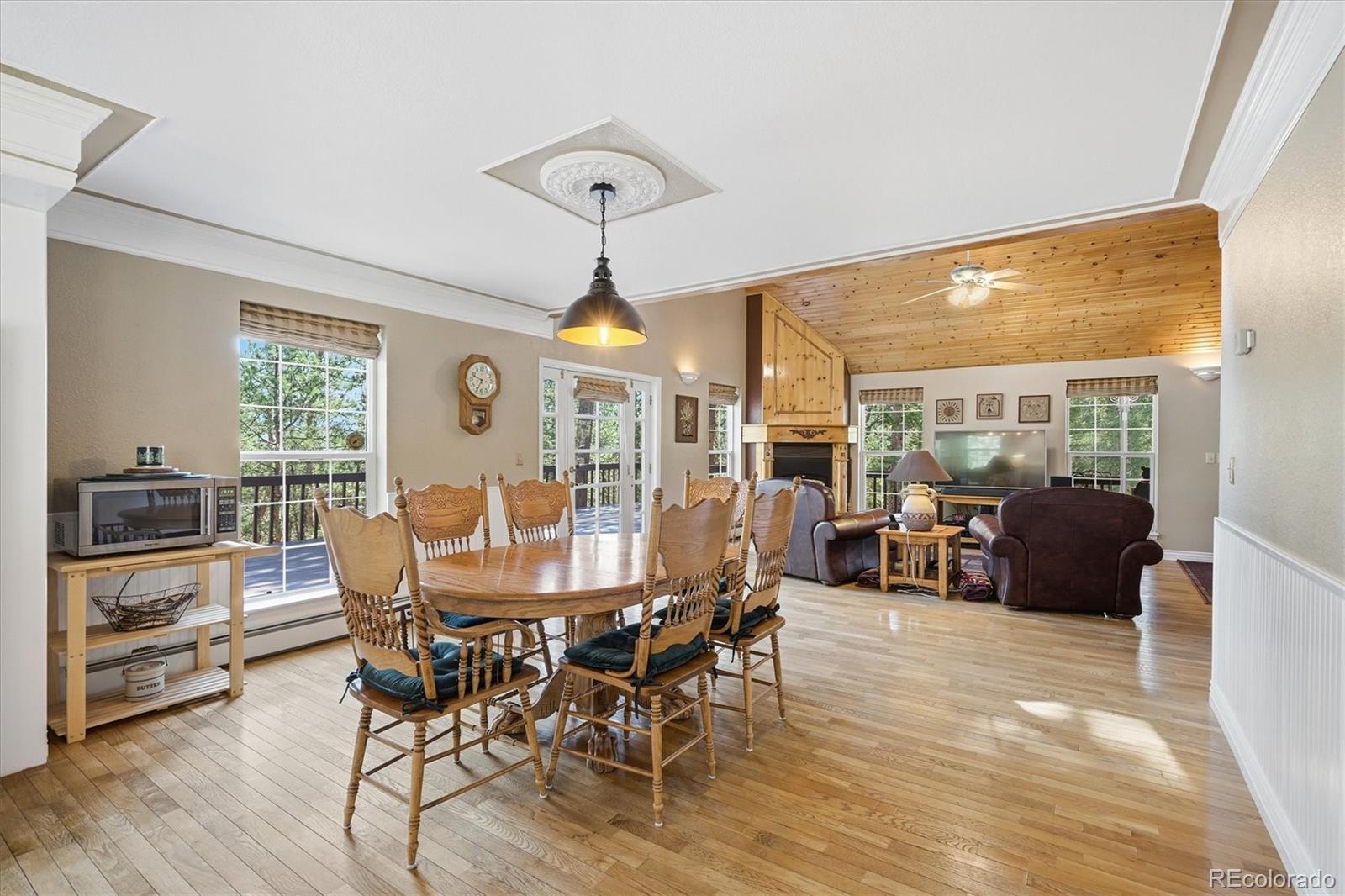 MLS Image #11 for 410  spring drive,pine, Colorado