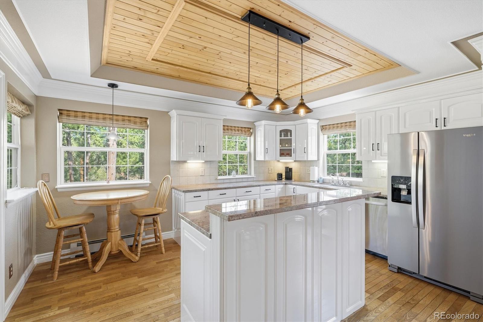 MLS Image #12 for 410  spring drive,pine, Colorado