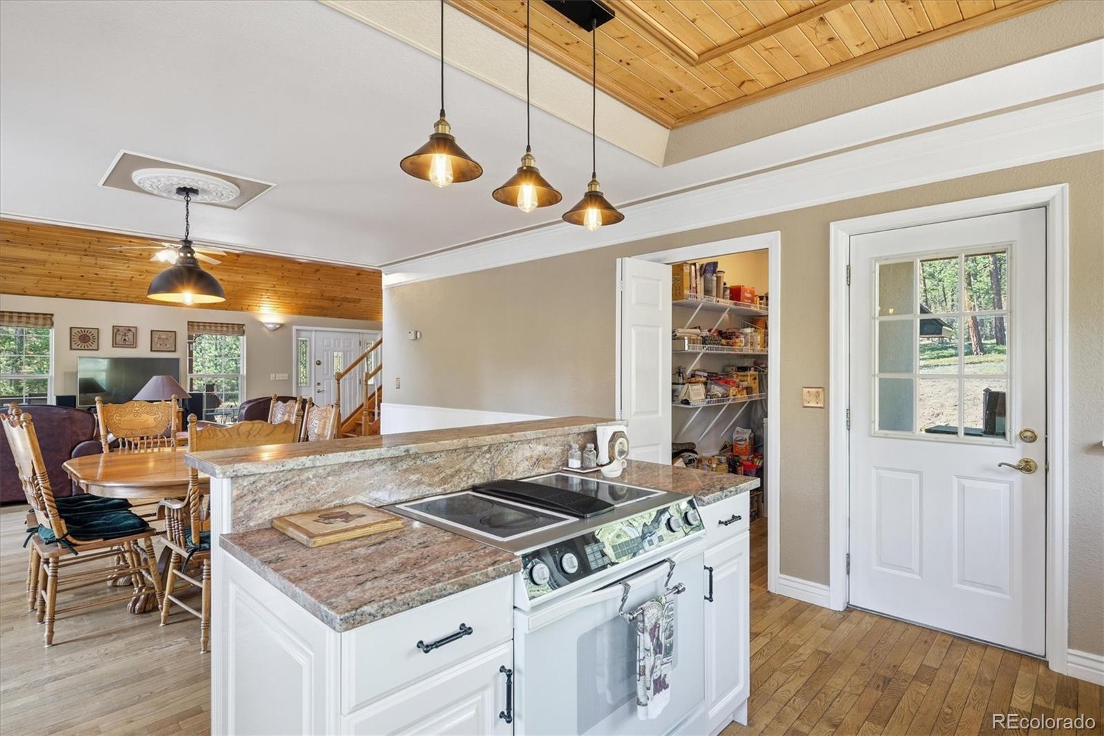 MLS Image #13 for 410  spring drive,pine, Colorado