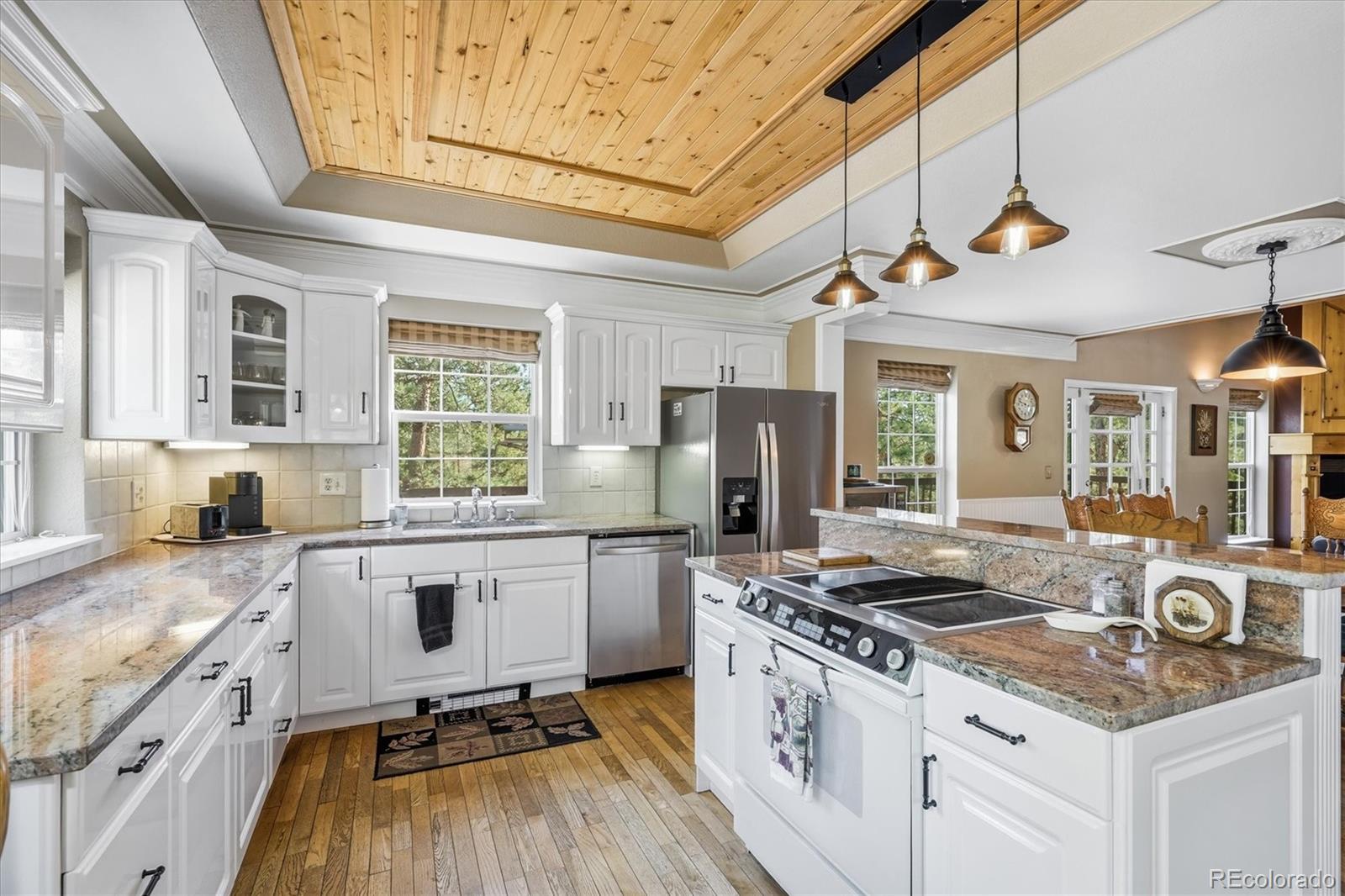 MLS Image #14 for 410  spring drive,pine, Colorado