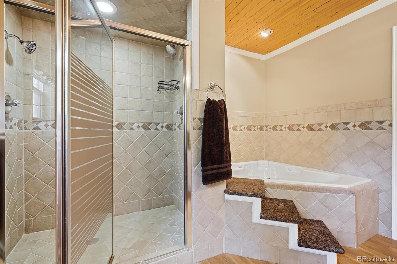 MLS Image #19 for 410  spring drive,pine, Colorado