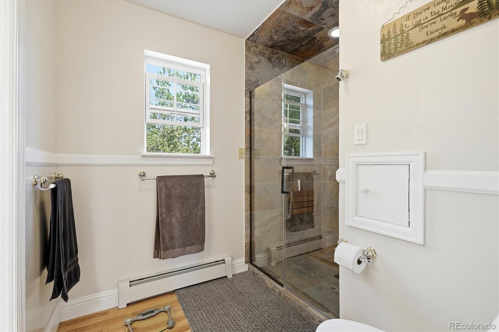 MLS Image #28 for 410  spring drive,pine, Colorado