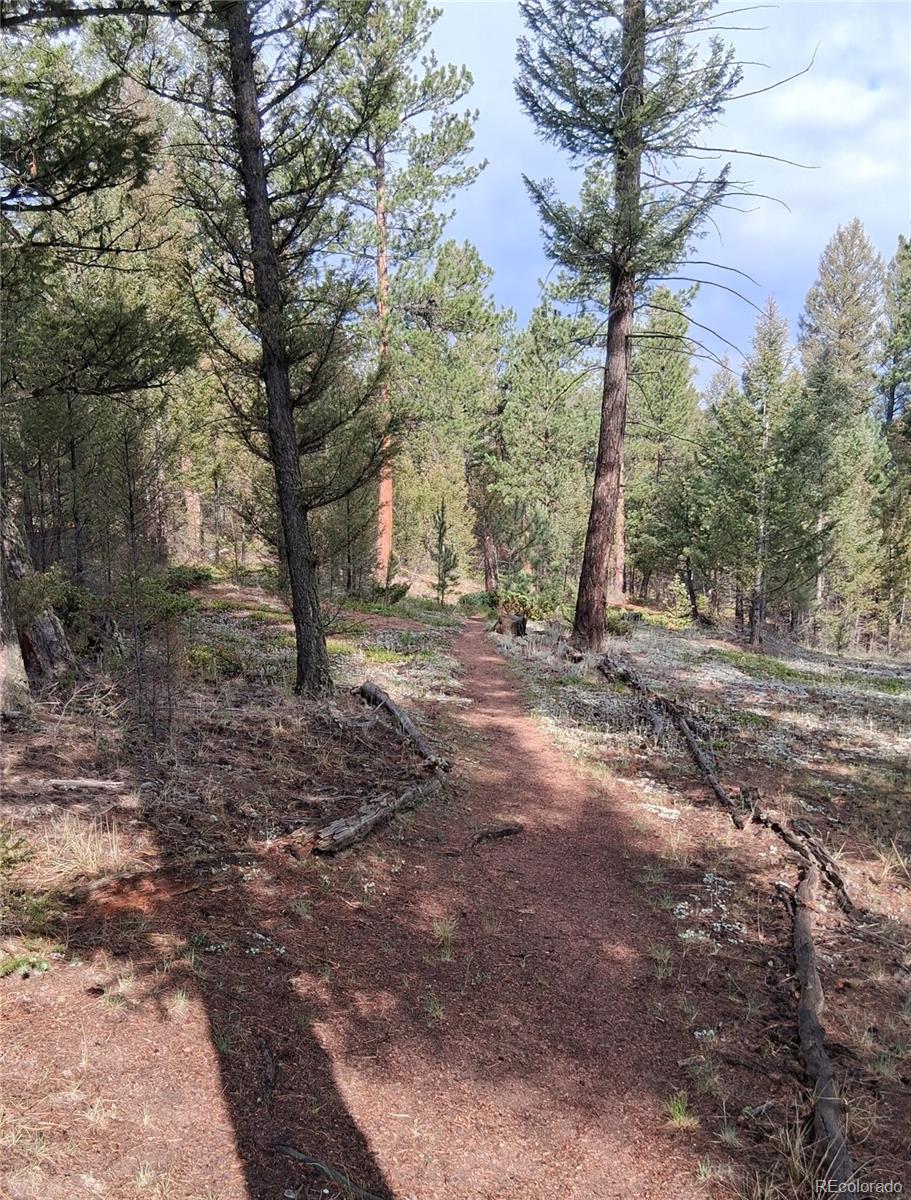 MLS Image #45 for 410  spring drive,pine, Colorado