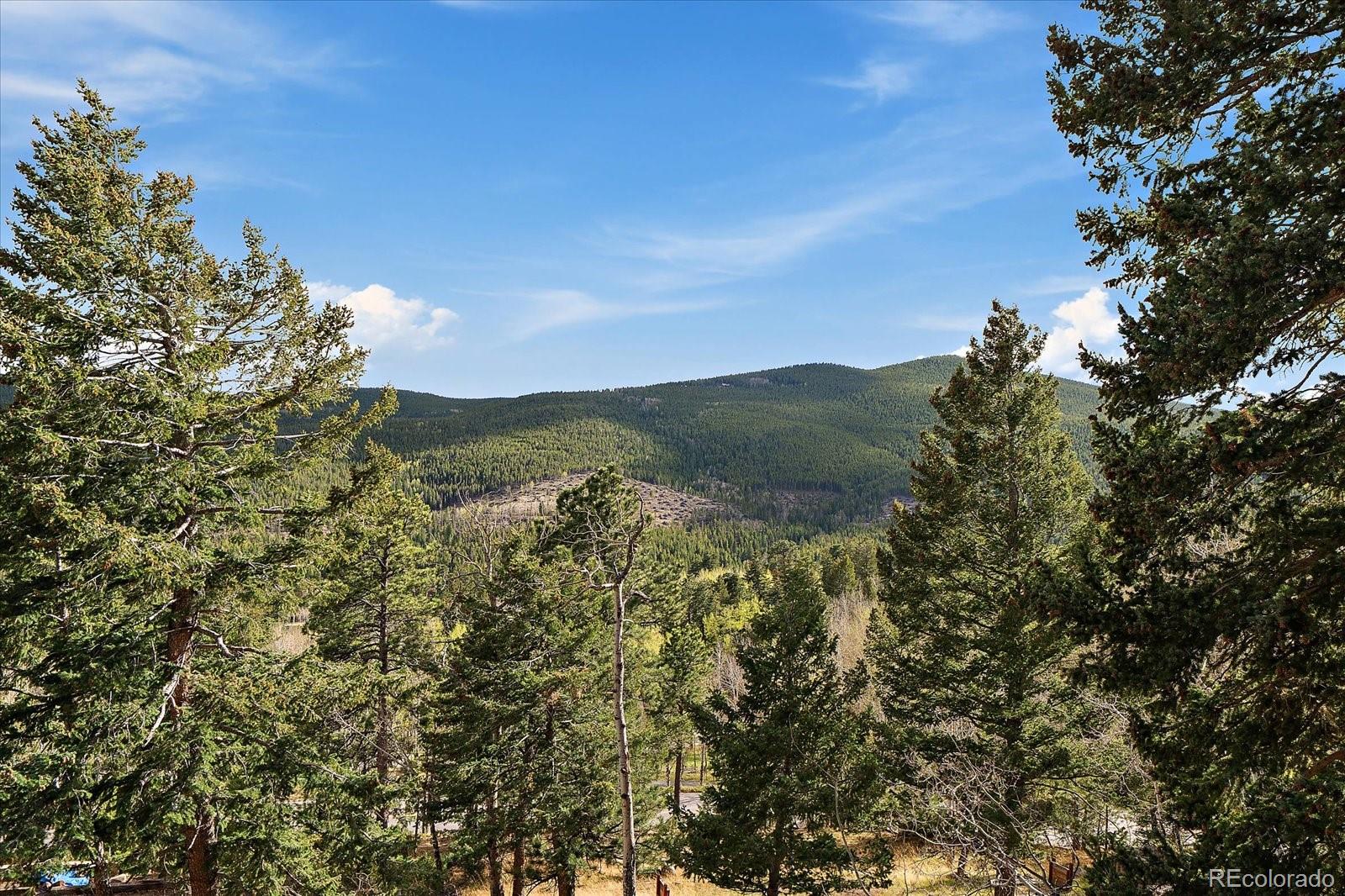 MLS Image #1 for 81  raccoon circle,evergreen, Colorado