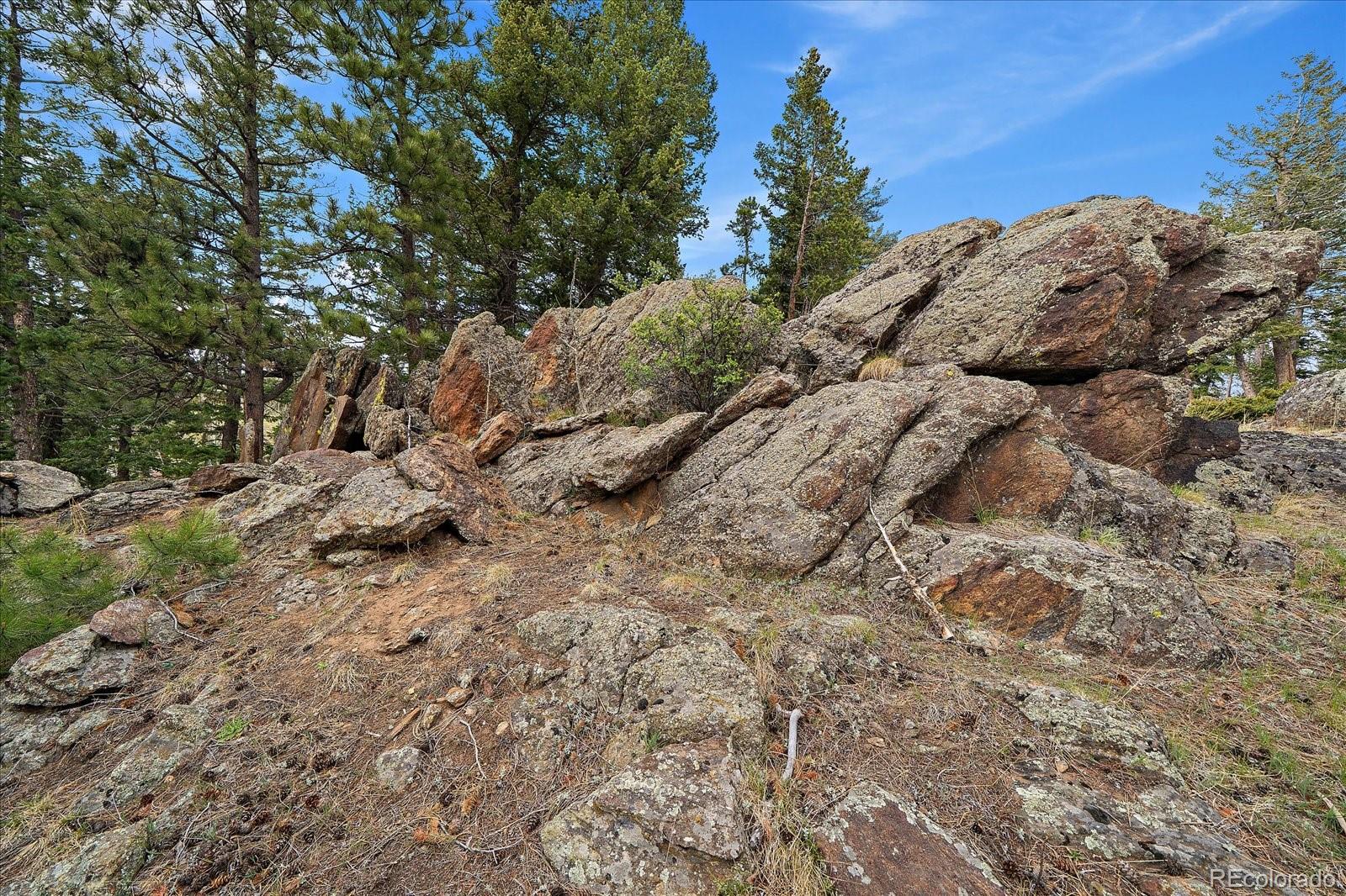 MLS Image #44 for 81  raccoon circle,evergreen, Colorado