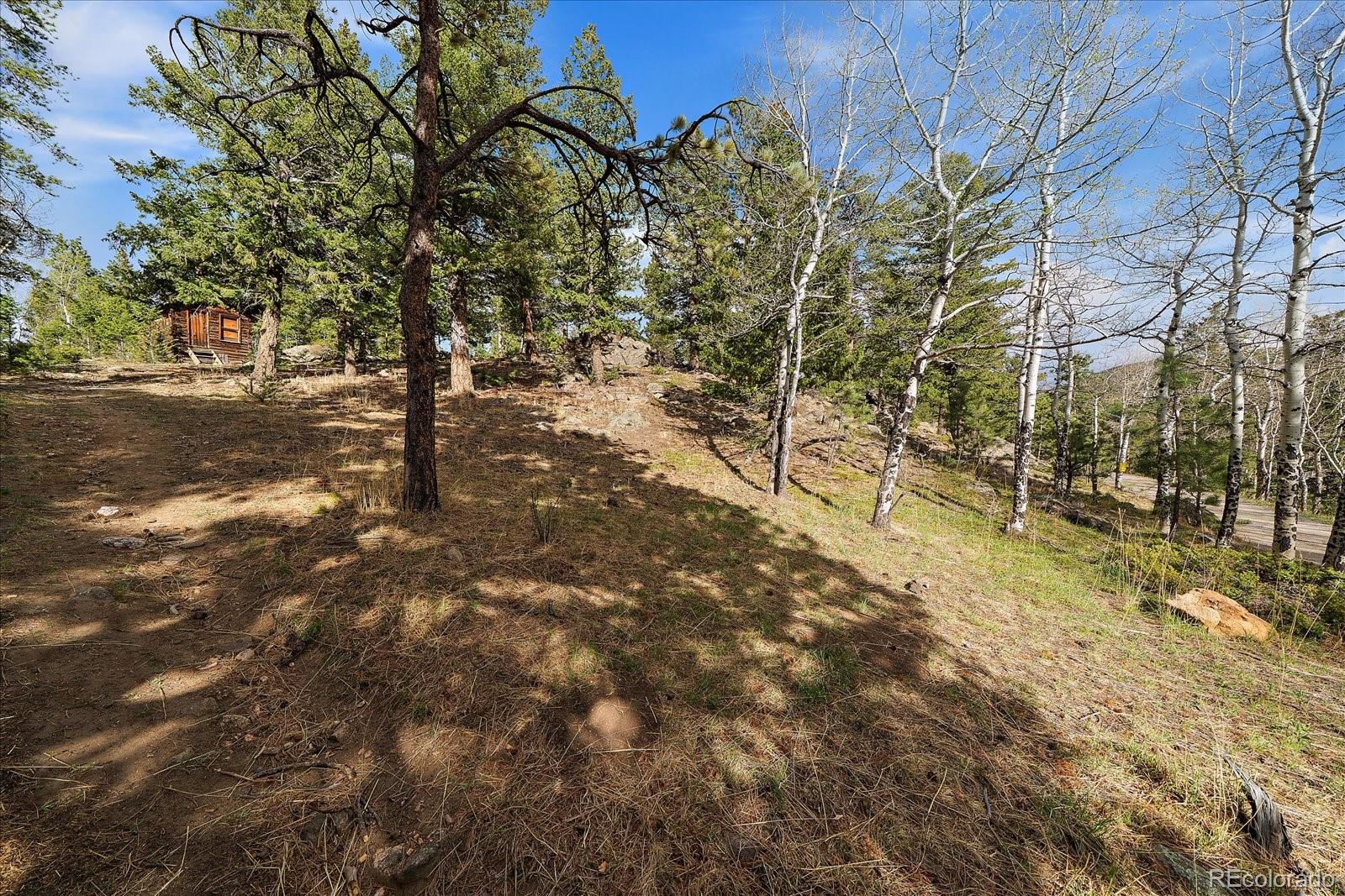 MLS Image #46 for 81  raccoon circle,evergreen, Colorado