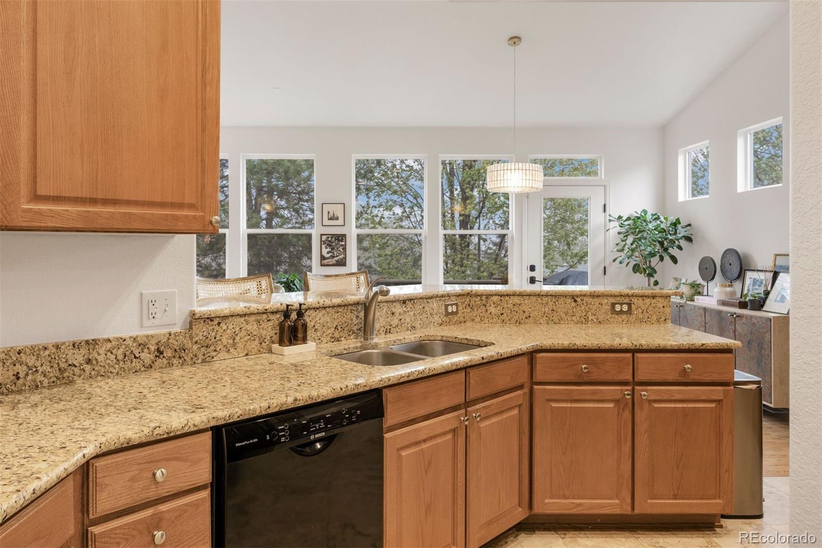 MLS Image #10 for 1037  snow lily court,castle pines, Colorado