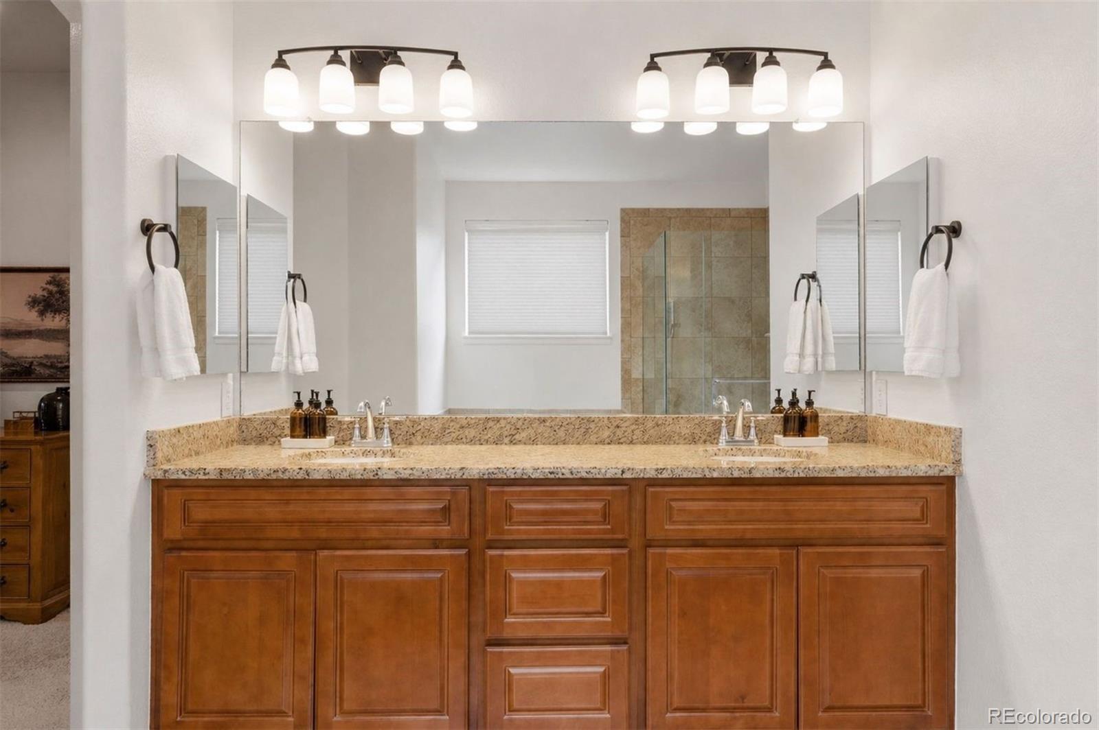 MLS Image #14 for 1037  snow lily court,castle pines, Colorado