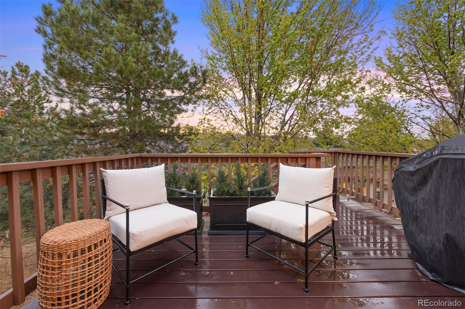 MLS Image #7 for 1037  snow lily court,castle pines, Colorado