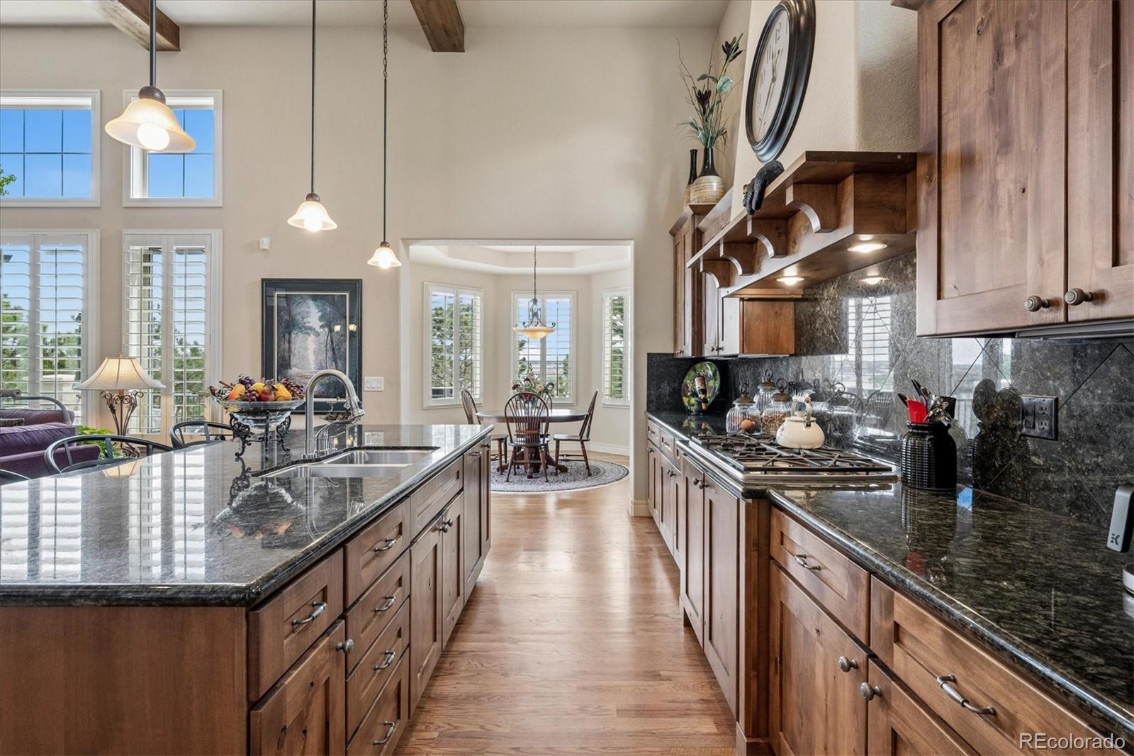 MLS Image #10 for 4721  carefree trail,parker, Colorado