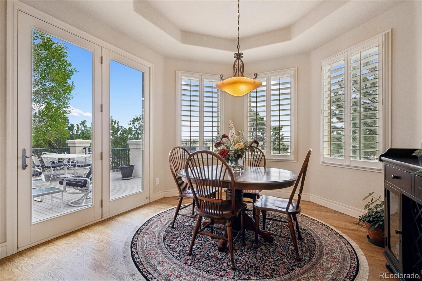 MLS Image #14 for 4721  carefree trail,parker, Colorado