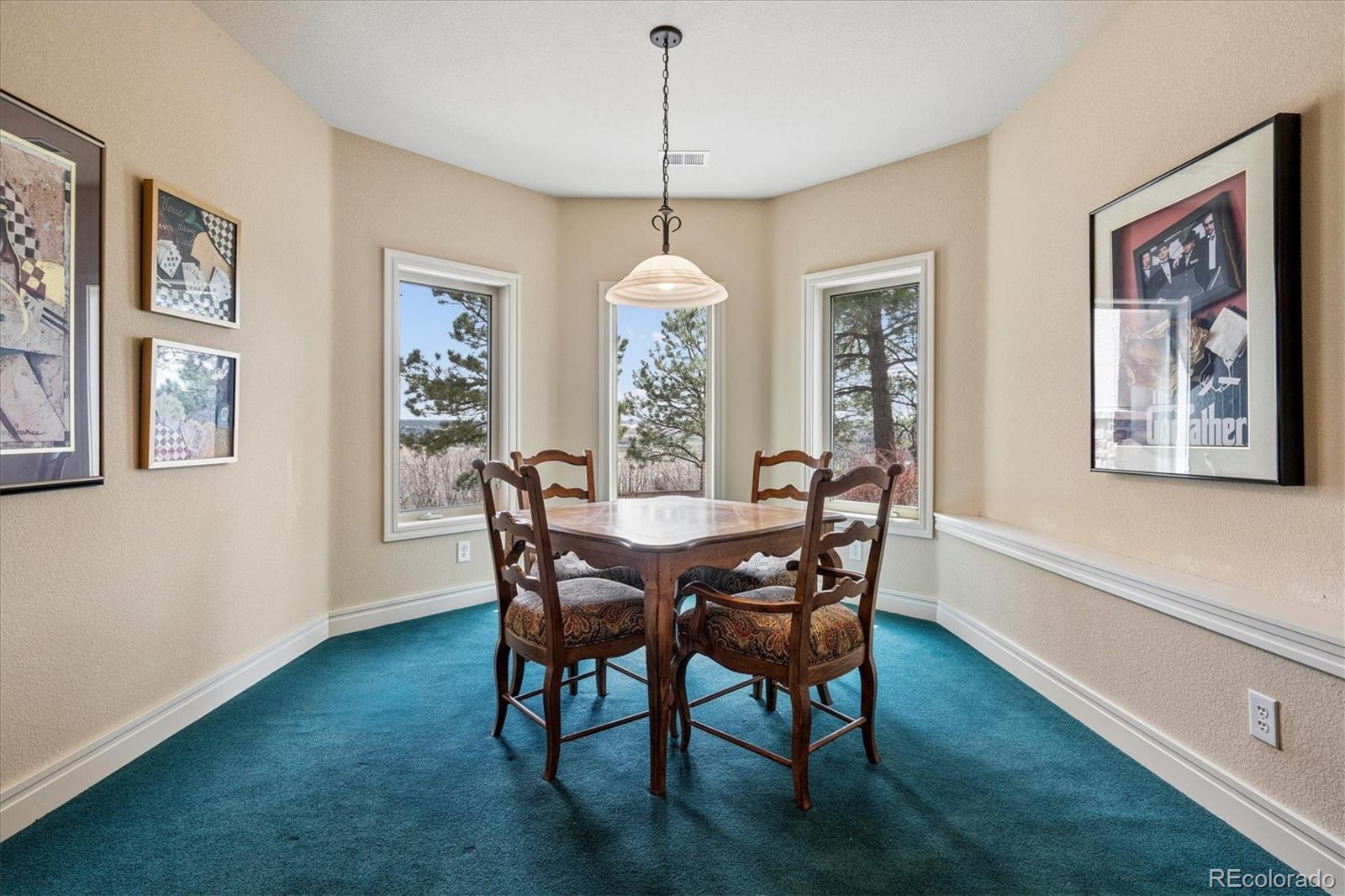 MLS Image #23 for 4721  carefree trail,parker, Colorado