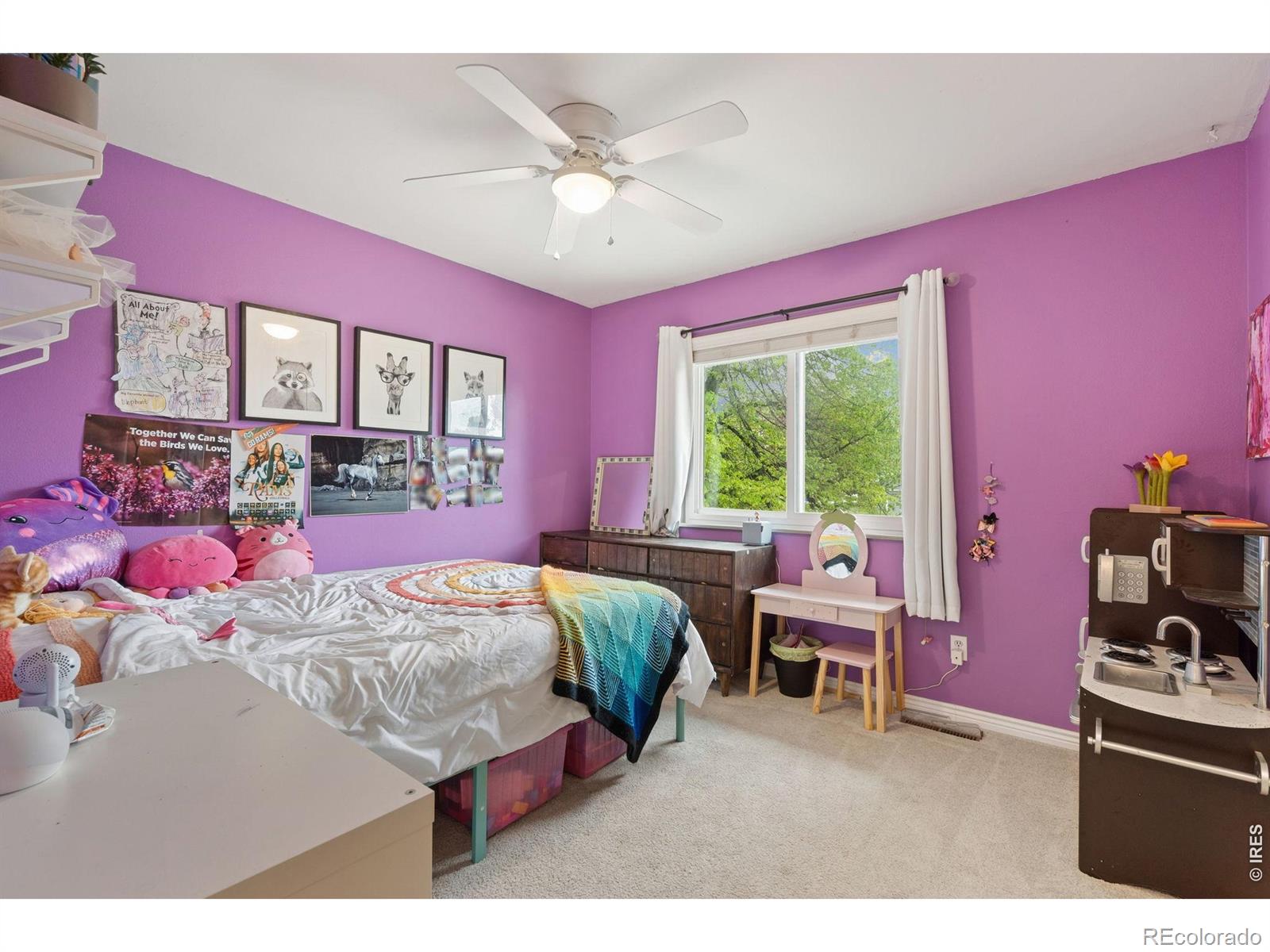 MLS Image #17 for 2818  chaparral drive,fort collins, Colorado