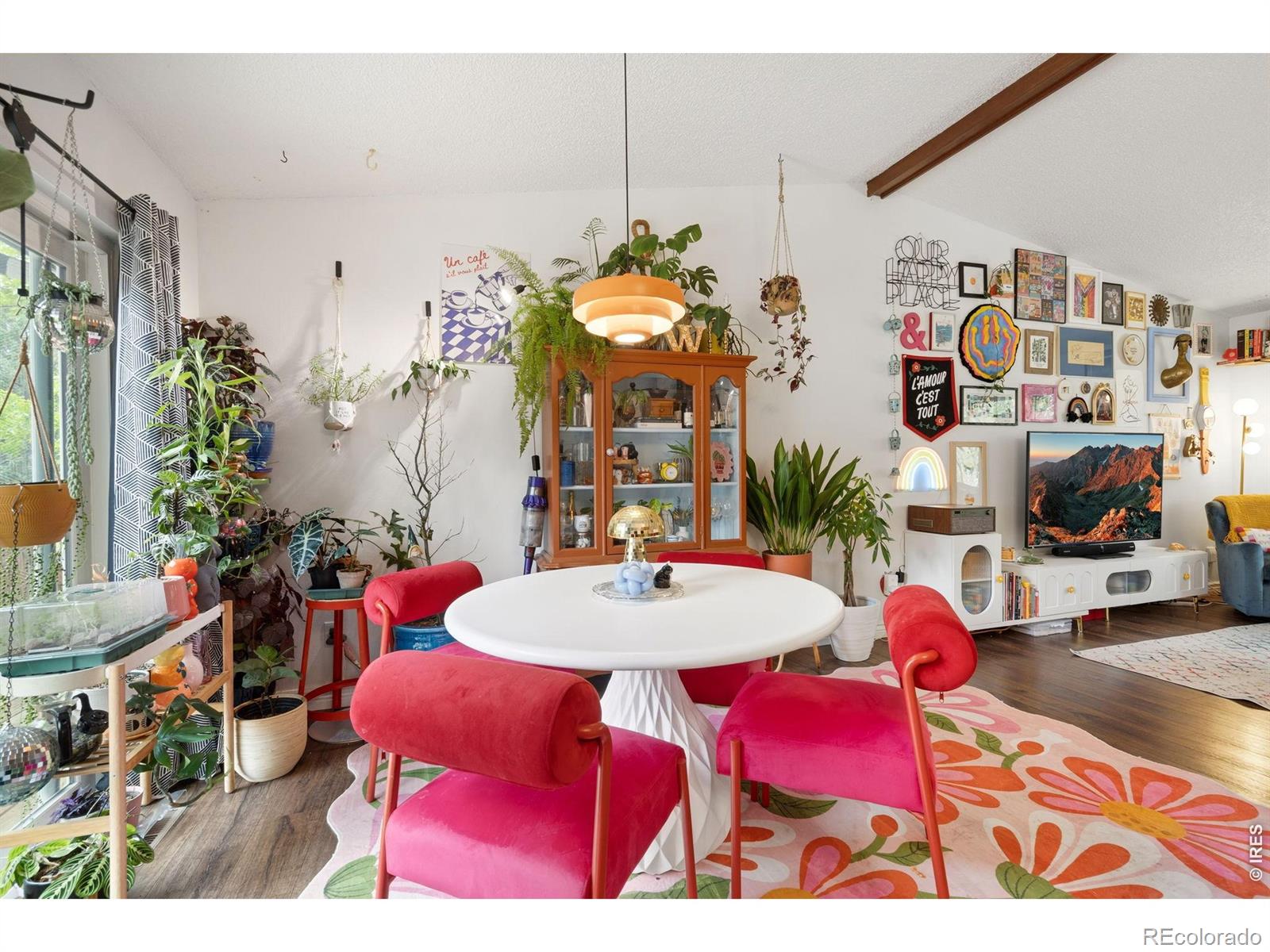 MLS Image #8 for 2818  chaparral drive,fort collins, Colorado