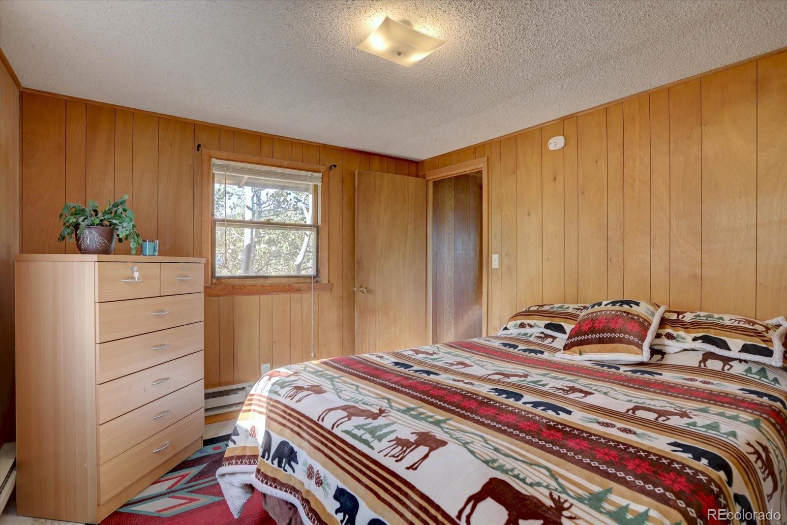 MLS Image #10 for 255  saddlestring road,bailey, Colorado