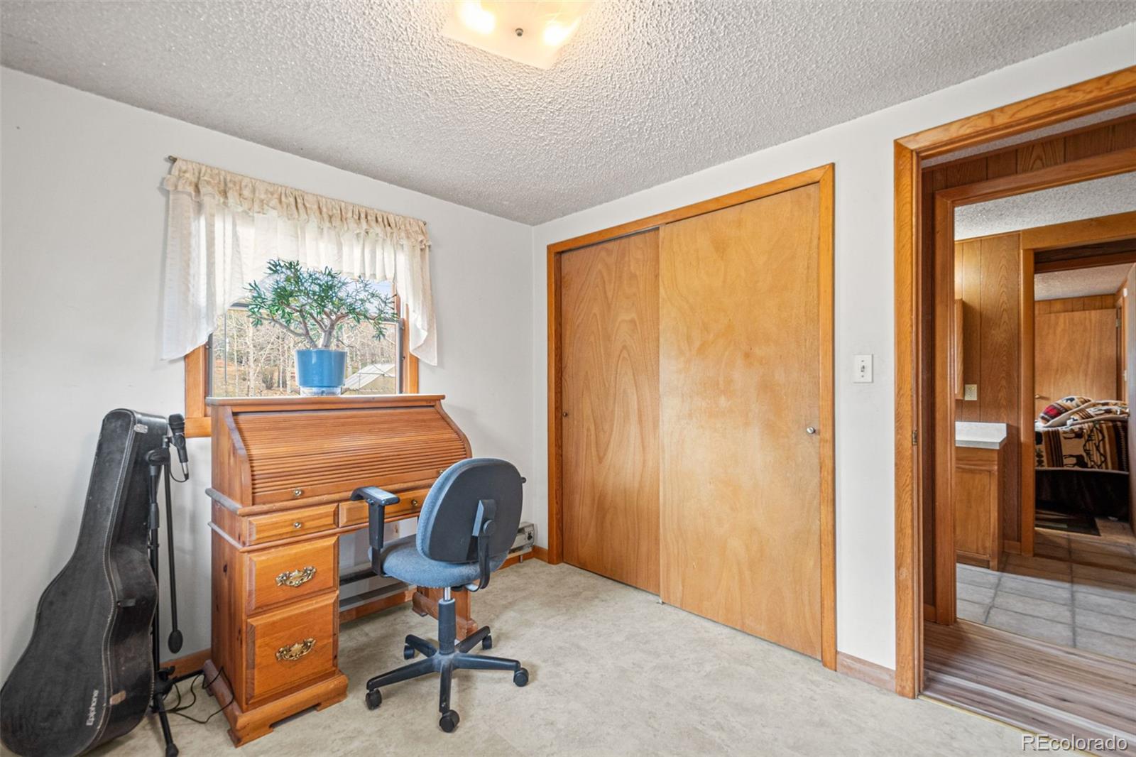 MLS Image #15 for 255  saddlestring road,bailey, Colorado