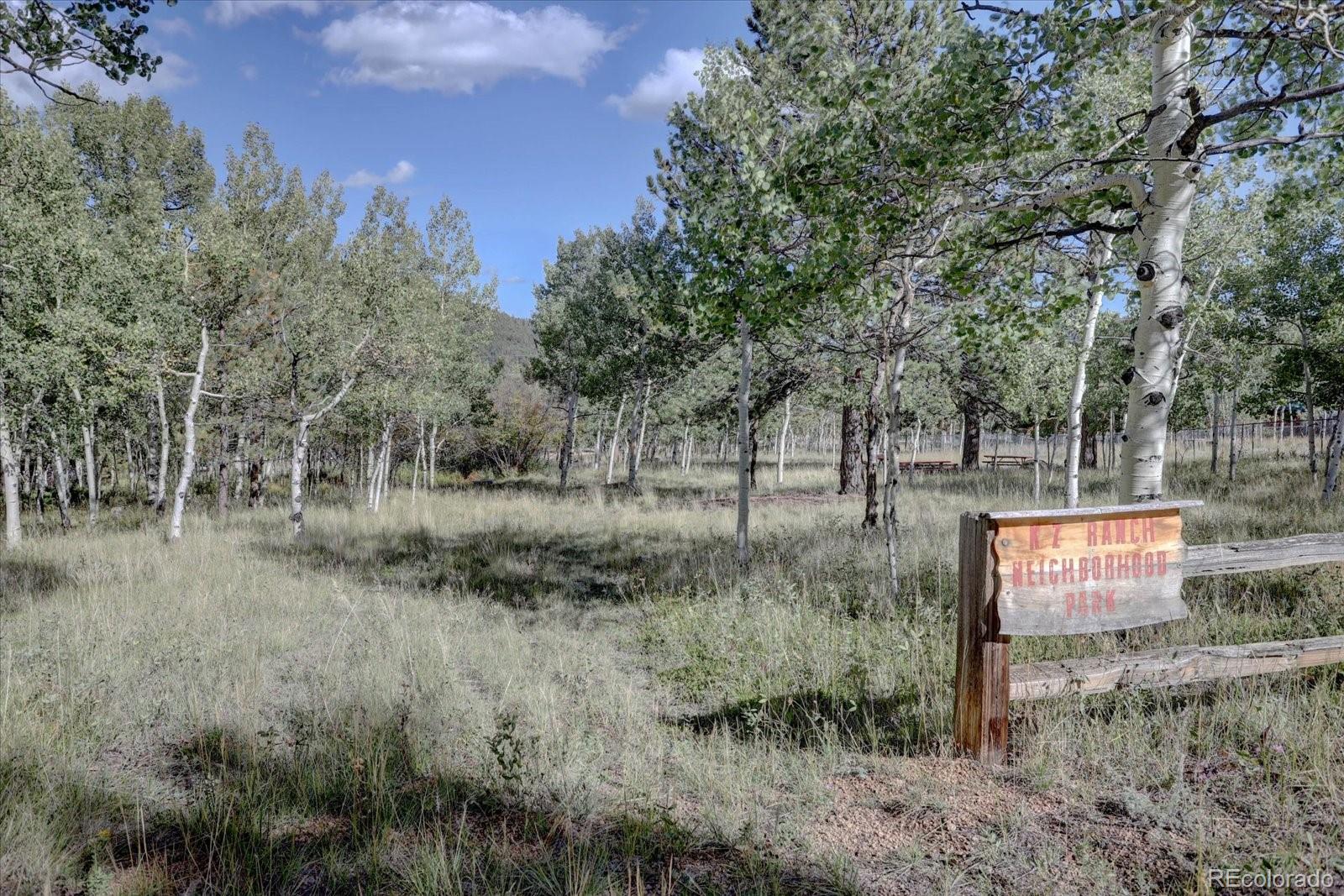 MLS Image #27 for 255  saddlestring road,bailey, Colorado
