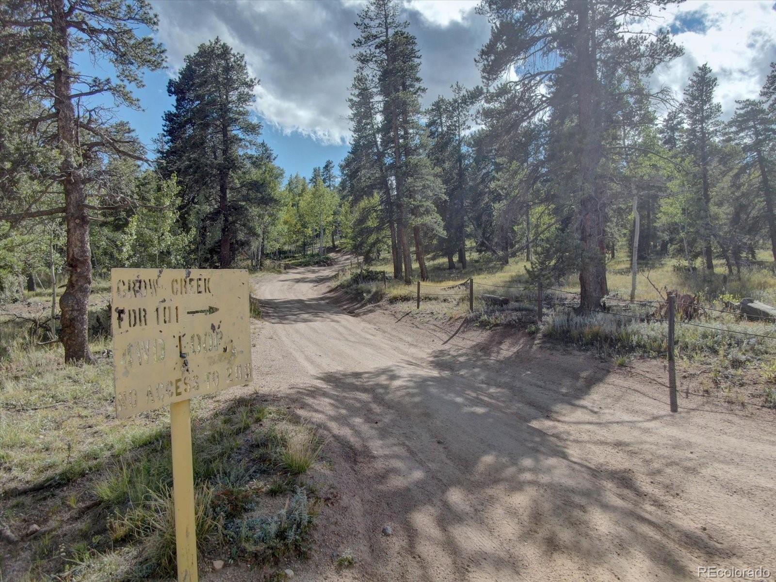 MLS Image #28 for 255  saddlestring road,bailey, Colorado