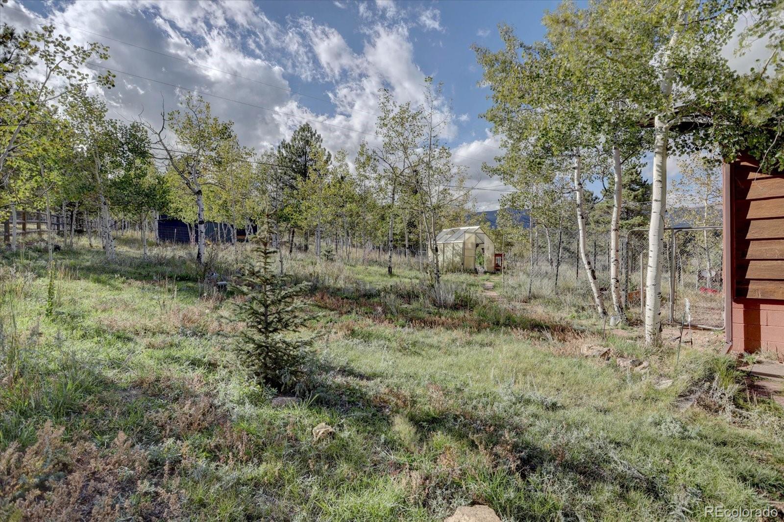 MLS Image #45 for 255  saddlestring road,bailey, Colorado