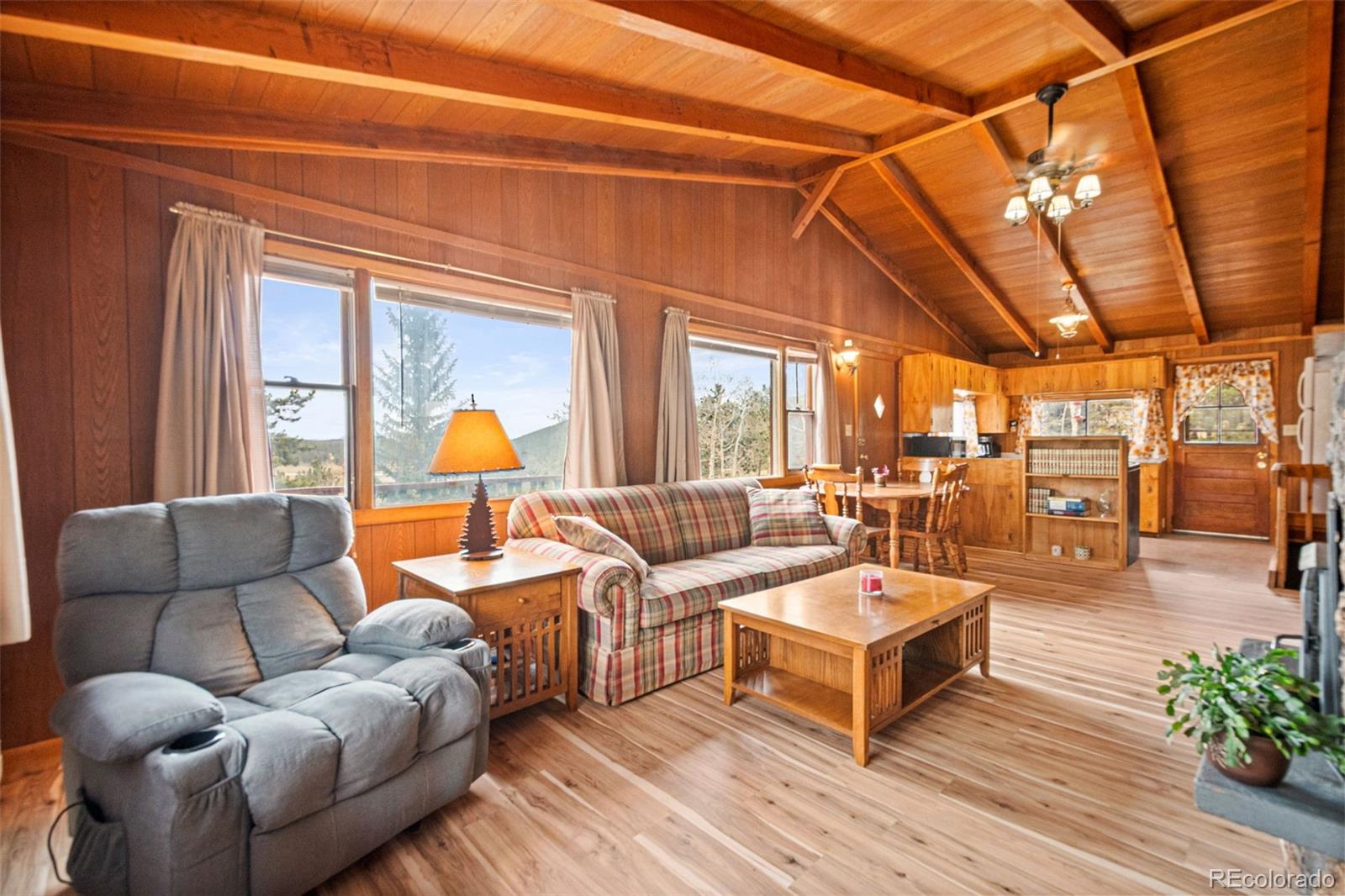 MLS Image #7 for 255  saddlestring road,bailey, Colorado