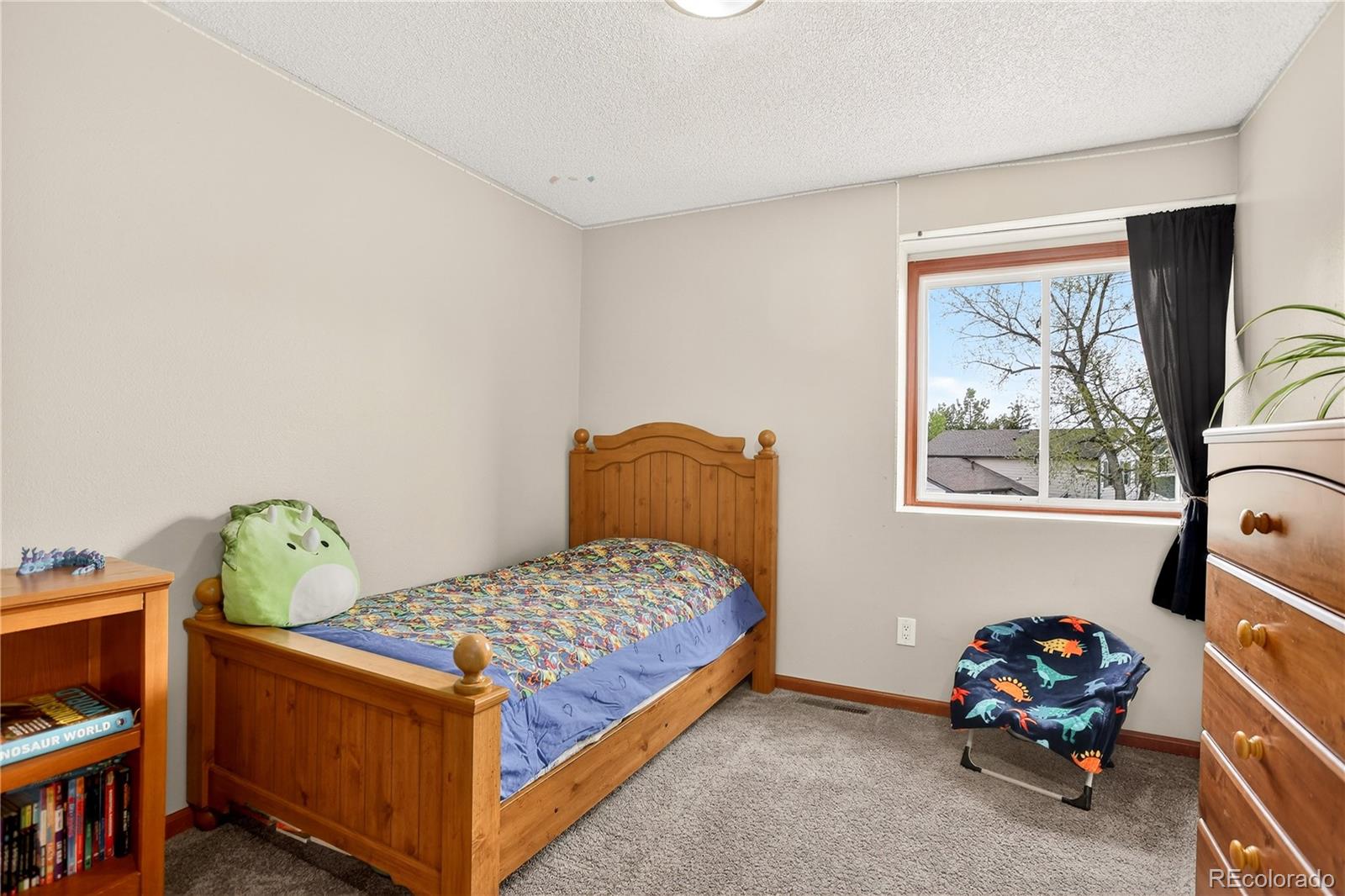 MLS Image #19 for 17229 e crestline avenue,centennial, Colorado