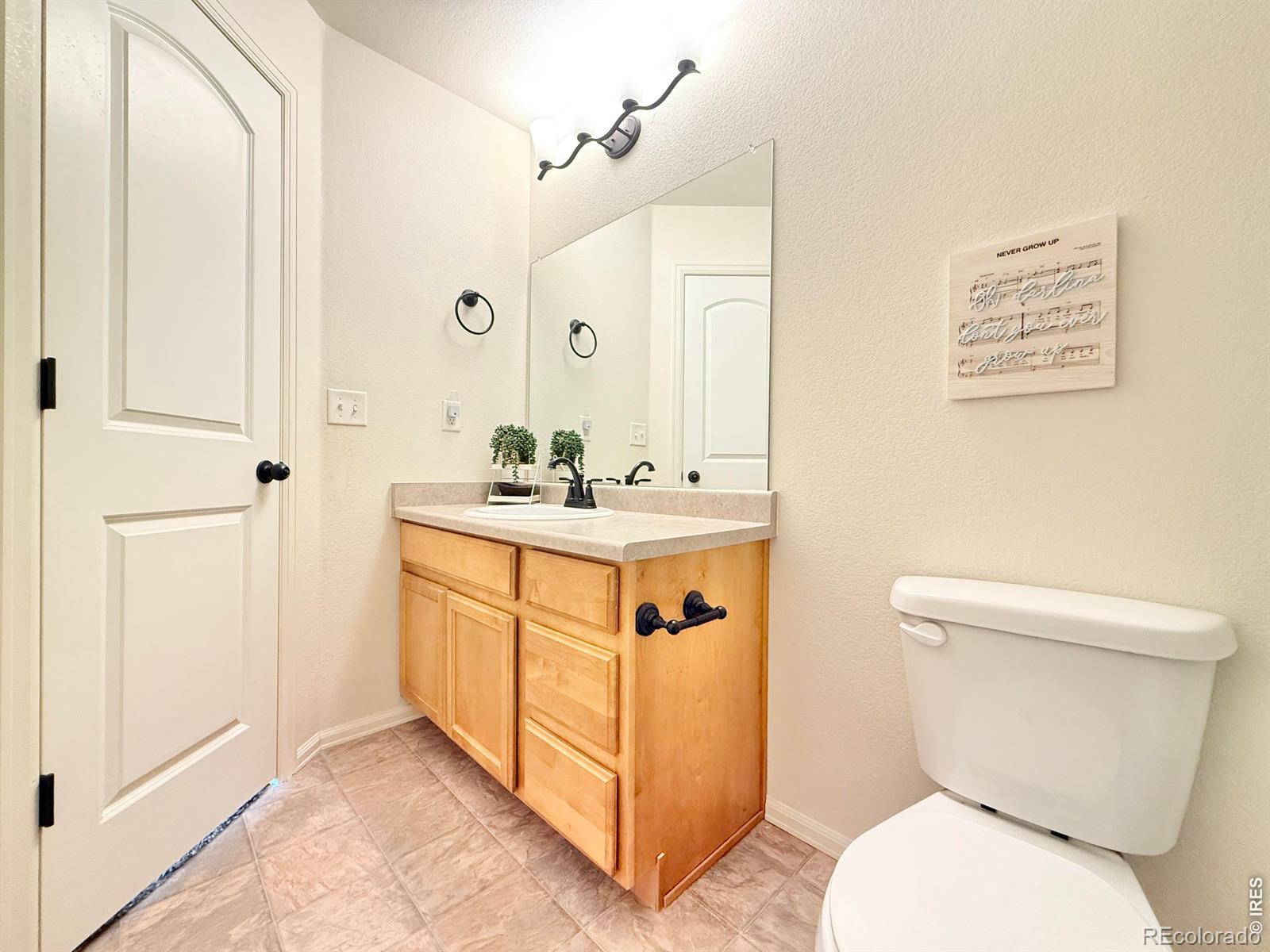 MLS Image #12 for 1006  muntjac street,severance, Colorado
