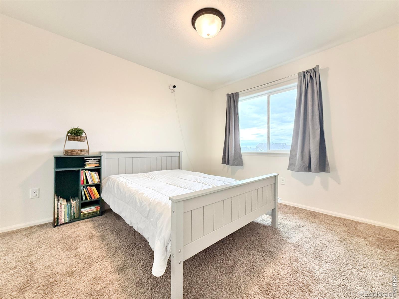 MLS Image #14 for 1006  muntjac street,severance, Colorado