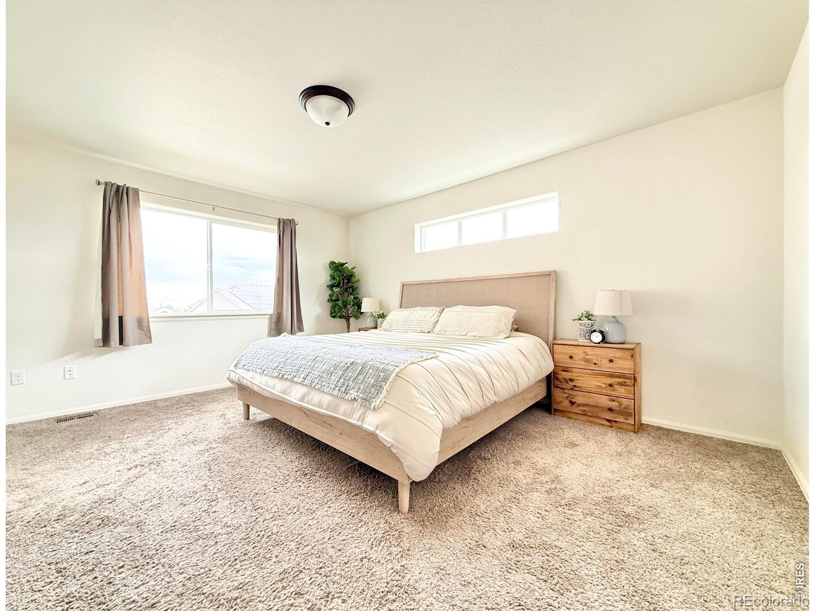 MLS Image #6 for 1006  muntjac street,severance, Colorado