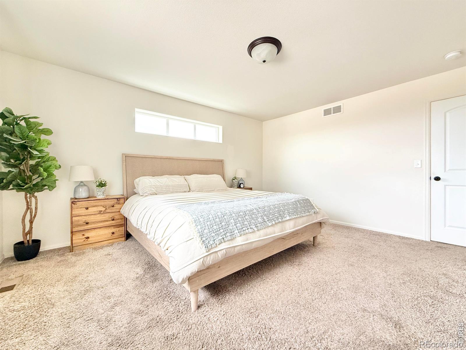MLS Image #7 for 1006  muntjac street,severance, Colorado