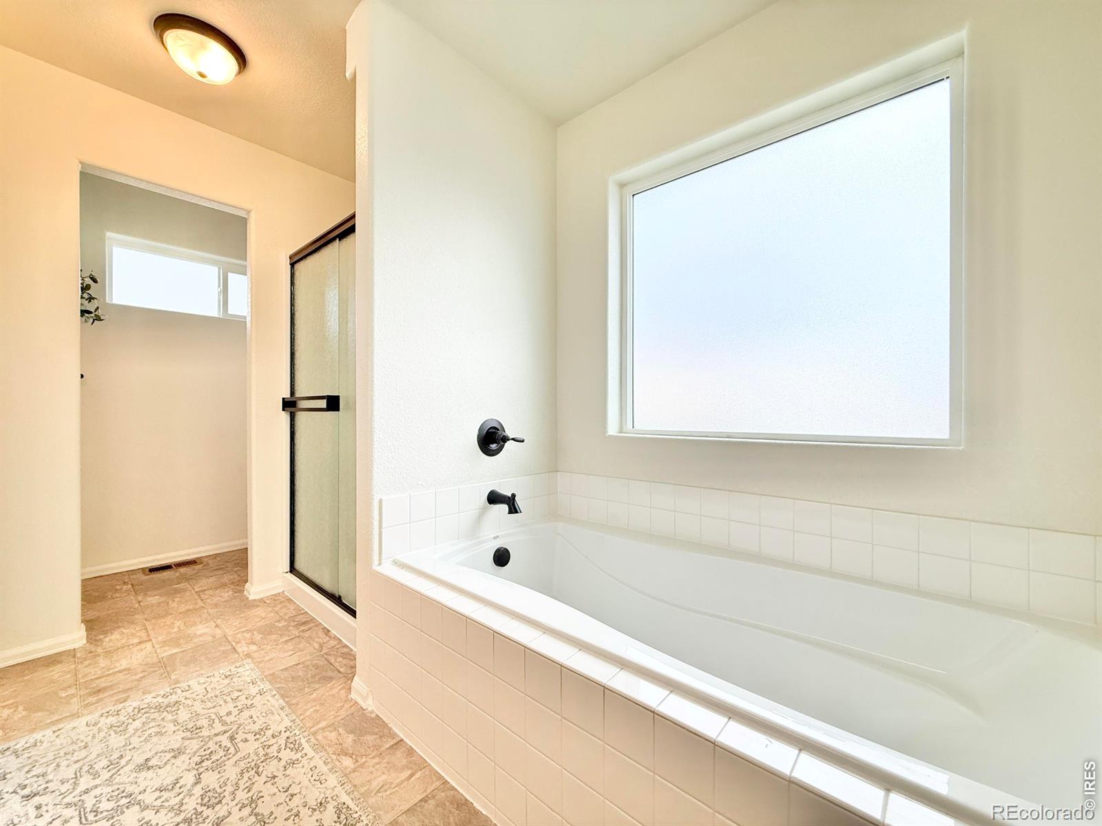 MLS Image #9 for 1006  muntjac street,severance, Colorado