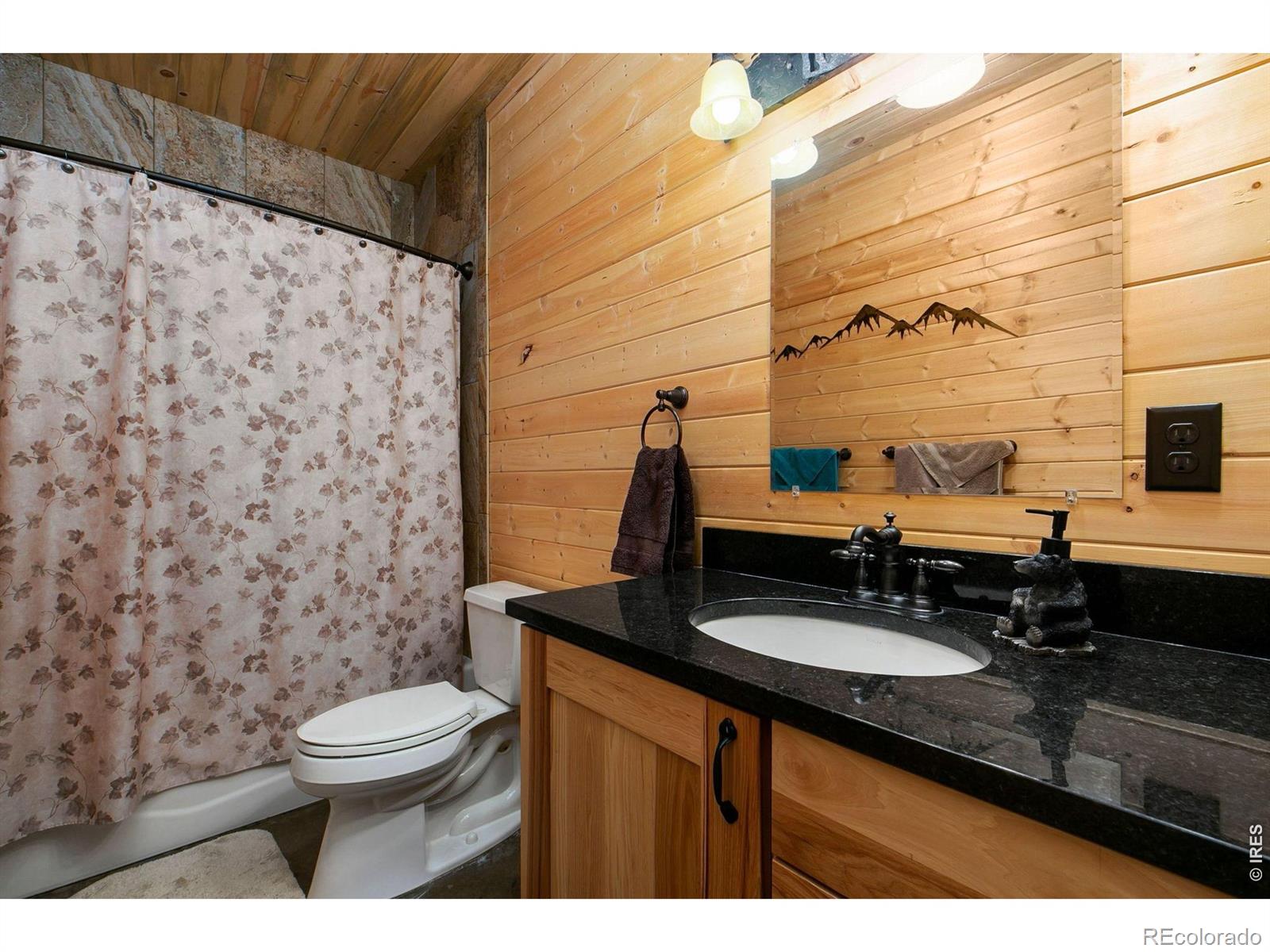 MLS Image #17 for 580  la escena drive,bellvue, Colorado