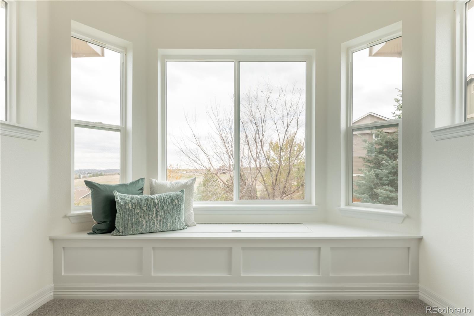 MLS Image #19 for 2552  red hawk ridge drive,castle rock, Colorado