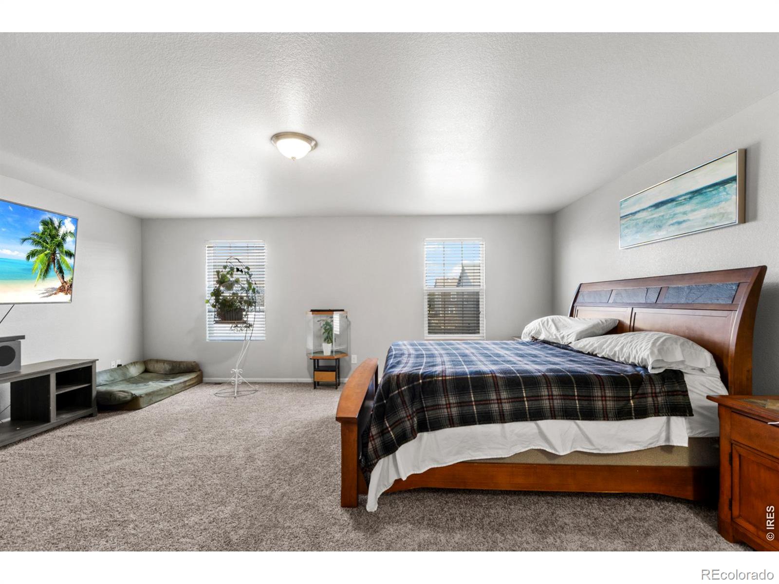 MLS Image #10 for 3690  cornflower street,wellington, Colorado