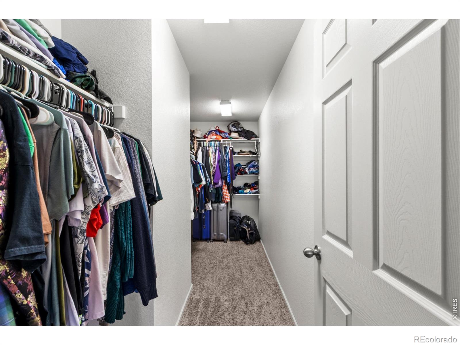 MLS Image #13 for 3690  cornflower street,wellington, Colorado
