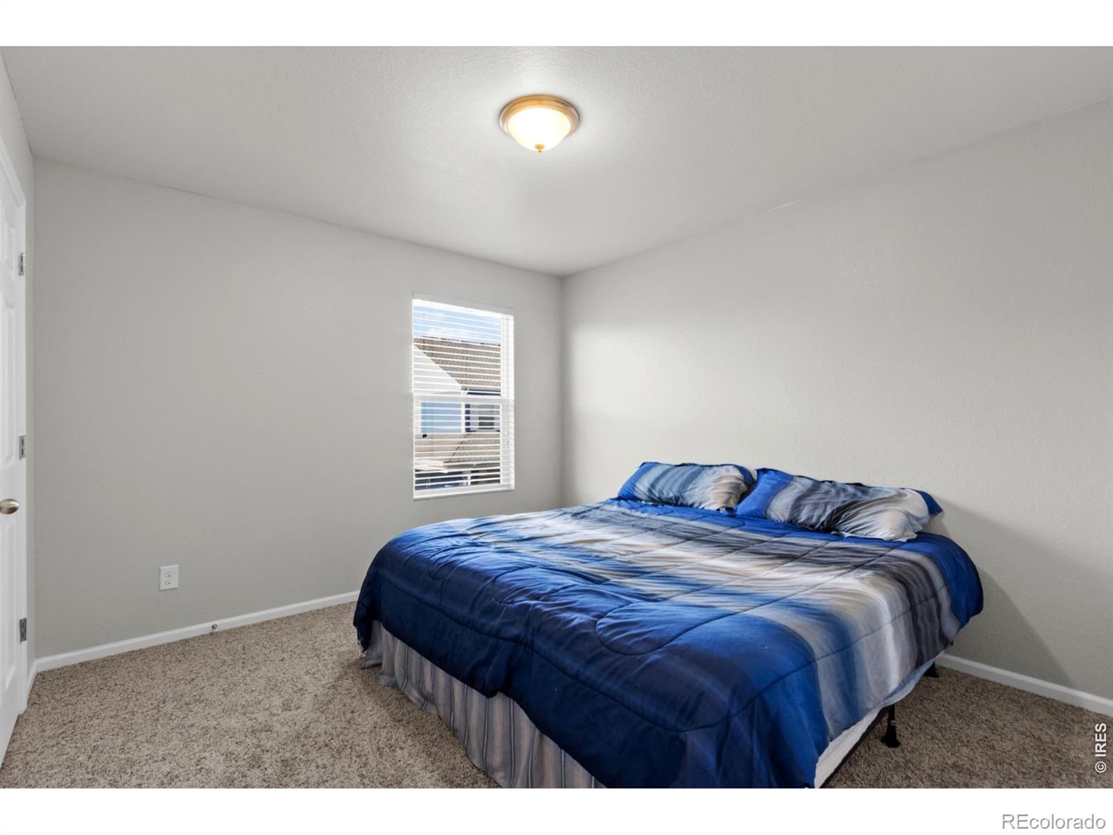 MLS Image #16 for 3690  cornflower street,wellington, Colorado
