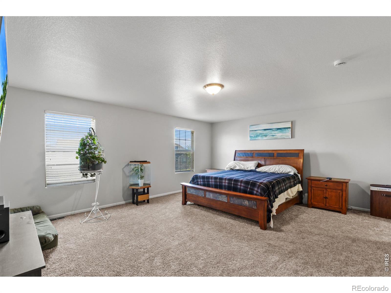 MLS Image #9 for 3690  cornflower street,wellington, Colorado
