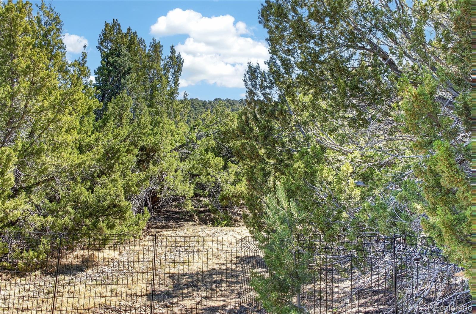 MLS Image #48 for 415  riata drive,trinidad, Colorado