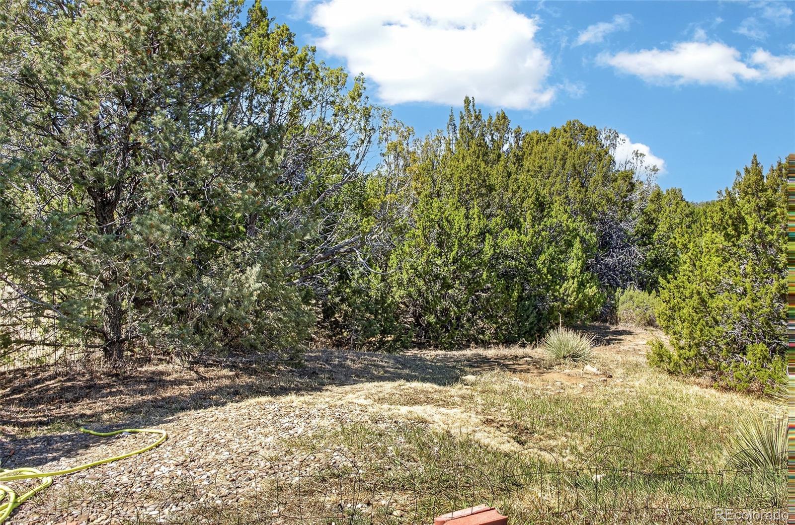 MLS Image #49 for 415  riata drive,trinidad, Colorado