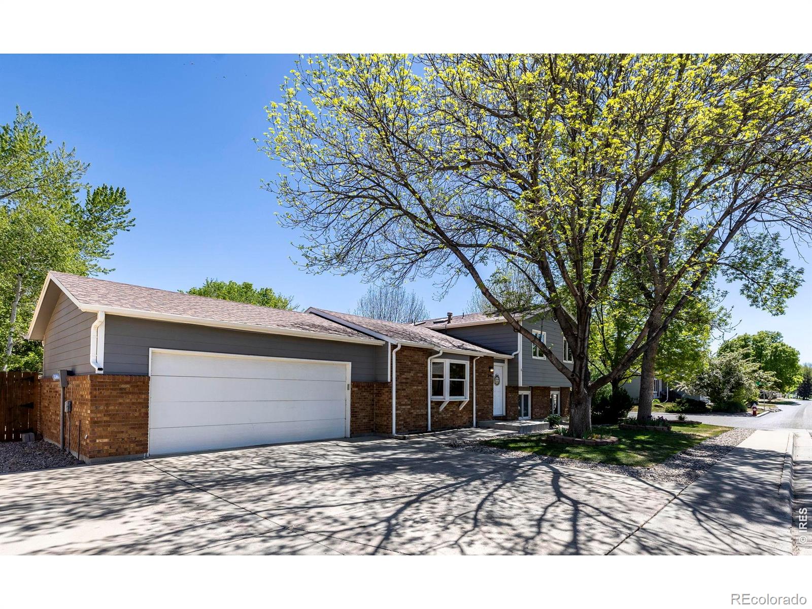 MLS Image #1 for 2742 w redbud drive,loveland, Colorado