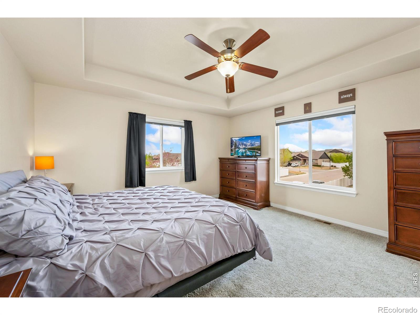 MLS Image #17 for 5628  bexley drive,windsor, Colorado