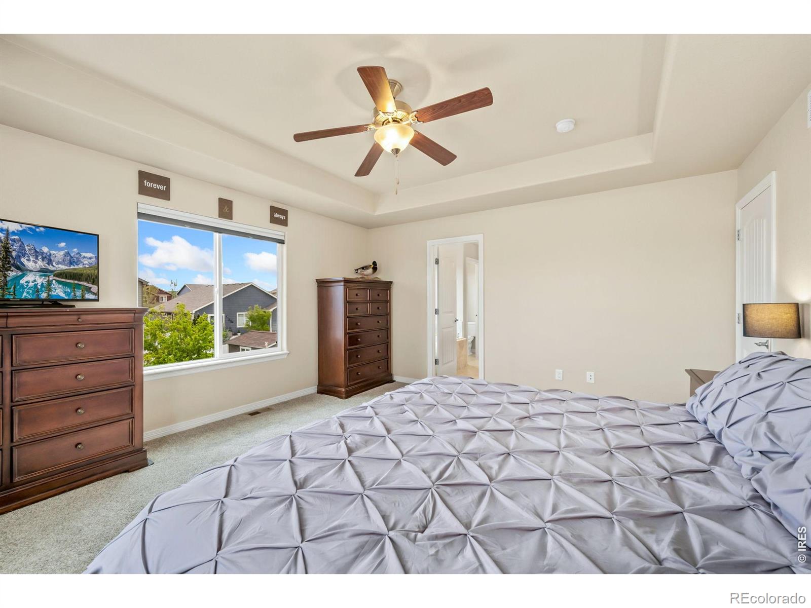 MLS Image #18 for 5628  bexley drive,windsor, Colorado